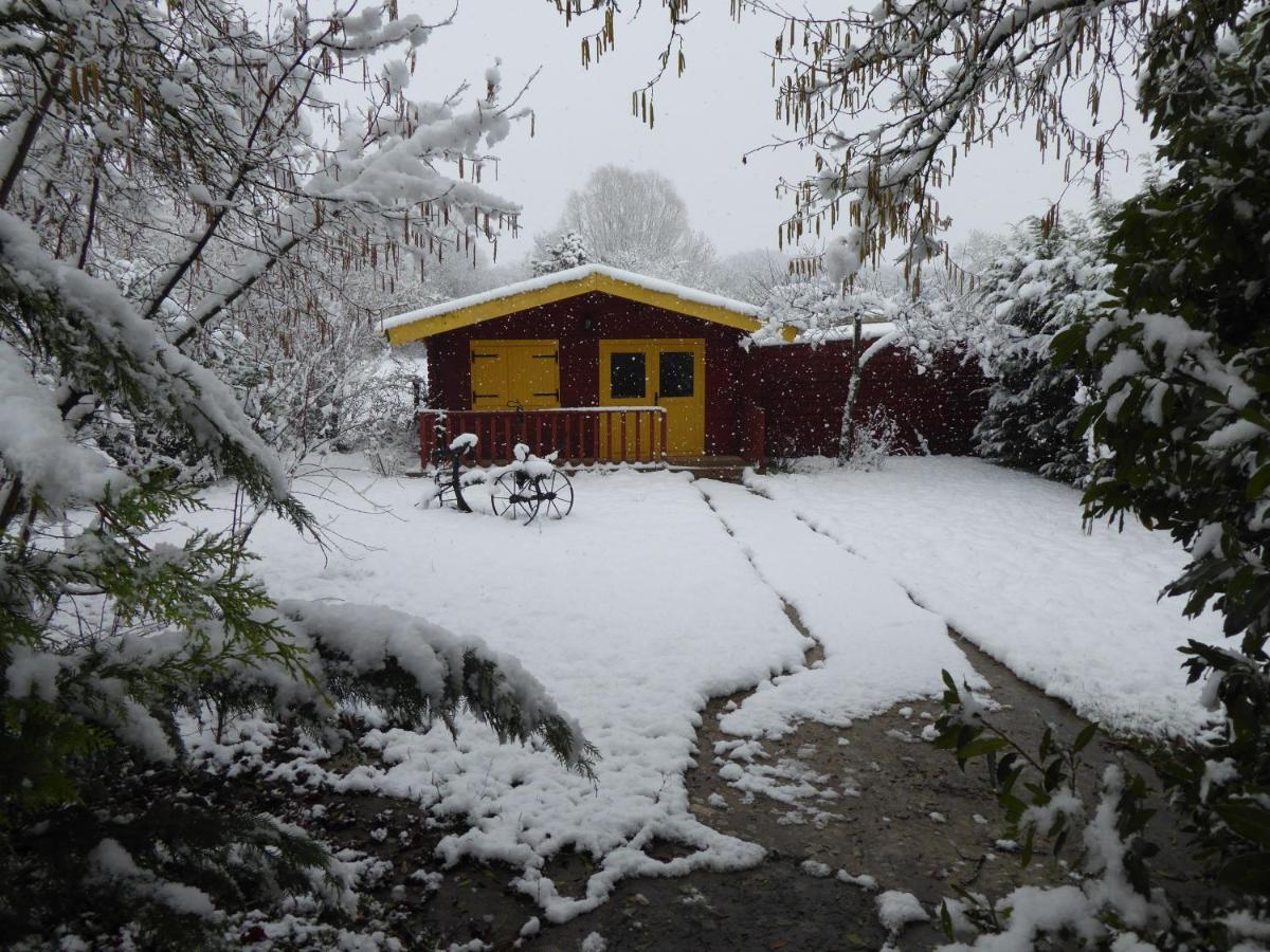 Chalet aux pied des vignes Montigny  Extérieur photo